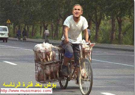 msarkal fdarb rallaf